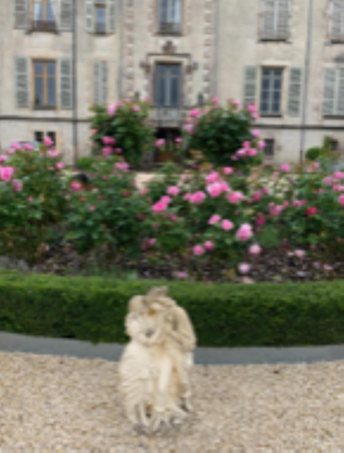 Chateau Pont Jarno B&B Champdeniers Екстериор снимка