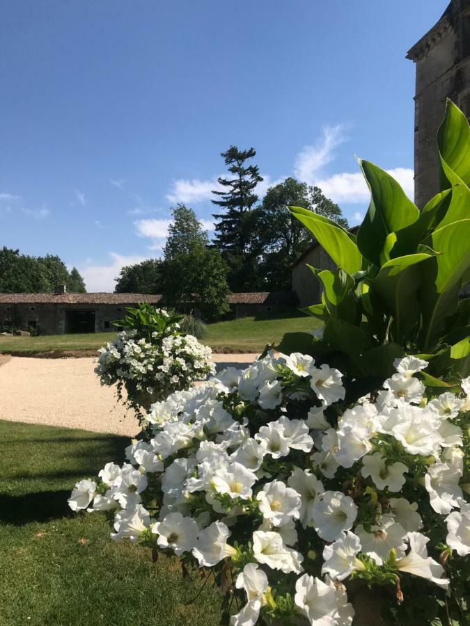 Chateau Pont Jarno B&B Champdeniers Екстериор снимка